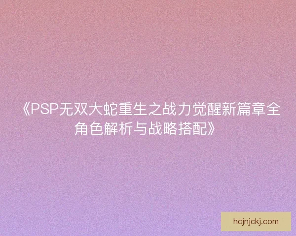 《PSP无双大蛇重生之战力觉醒新篇章全角色解析与战略搭配》